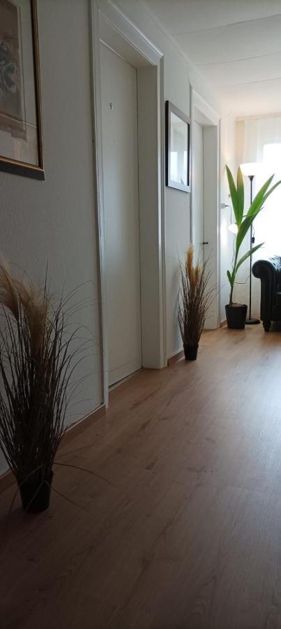 Ntn House Bed & Breakfast St. Gallen Eksteriør bilde